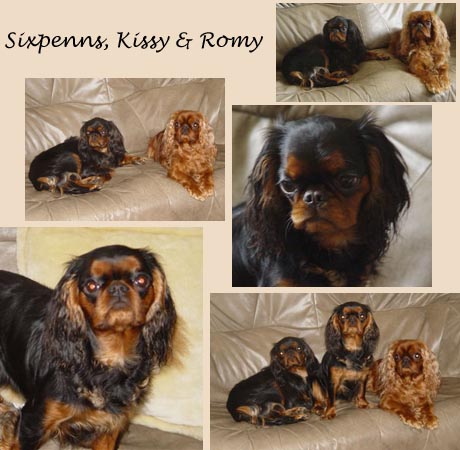 kissy, romy & sixpenns
